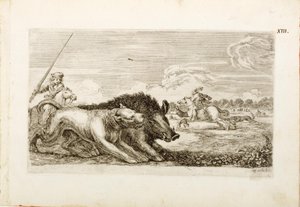 Le sanglier se dirige vers la droite - Stefano della Bella